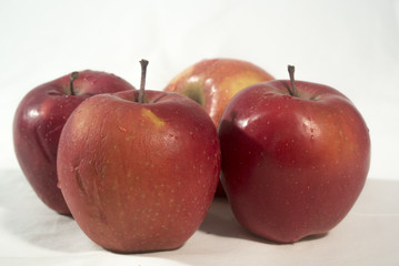 Apples