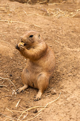 Feeding time 2