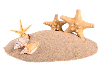 Fototapeta na wymiar pile of sand with seashells and starfish