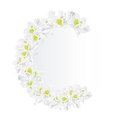 Festive frame  bouquet white rhododendrons vintage for design vector botanical illustration  editable hand draw