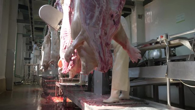 Workers prepare raw pork meat for delivery to stores

