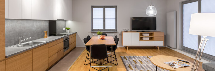 Multifunctional loft apartment