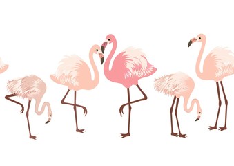 Seamless pattern with pink flamingo birds