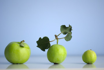 green apples blue background