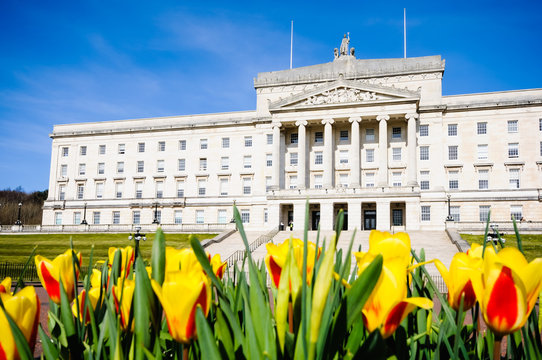 Tulips outside Parliament Buildings, Stormont, Belfast, home of the Northern Ireland Assembly.