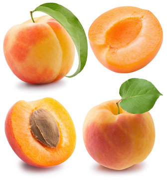 set of apricots isolated on a white background
