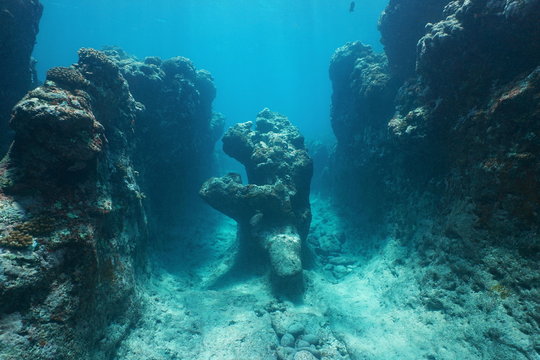 Fototapeta Natural rock formation underwater on the ocean floor carved by the waves in the outer reef of Huahine island, Pacific ocean, French Polynesia