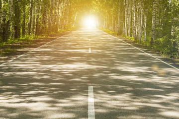 Road, a route that goes to the distance through the forest at sunset