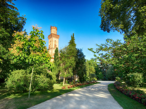 Path and vegetation in Massey Park in Tarbes
