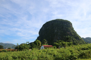 vinales