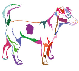 Decorative standing portrait of Dog Jack Russell terrier vector illustration in rainbow colors