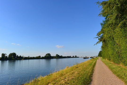 Rhein bei Gernsheim in Hessen