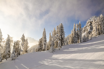 Stunning early morning shot of a ski slope near the Bavarian town of Garmisch Partenkirchen near Zugspitze mountain in Germany. Beautiful snow-covered trees in the background.