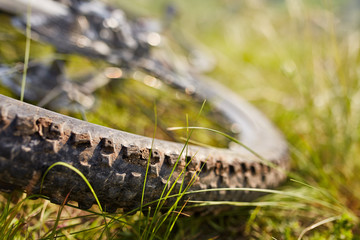 Bicycle Wheel In The Summer Green Grass Meadow Field.