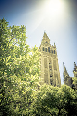 Fototapeta na wymiar Sunshine over the Giralda bell tower of the cathedral in Seville, Spain, Europe