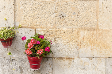 Fototapeta na wymiar flowerpots on a stone made wall with geranium flowers for decoration