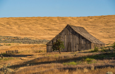 Obraz premium Old Barn in the Late Afternoon LIght 