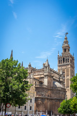 Fototapeta na wymiar The Giralda bell tower with the cathedral in Seville, Spain, Europe
