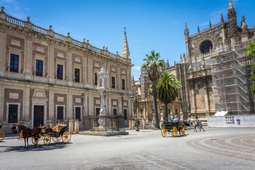 Side view of the cathedral in Seville, Spain, Europe.