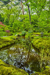 Travel Destinations. Picturesque Scenery of Japanese Garden in The Hague (Den Haag) in the Netherlands.