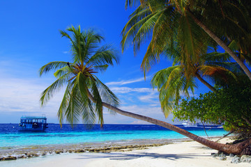 Beautiful view of the exotic resort, Maldives, palm trees, azure ocean, blue lagoon