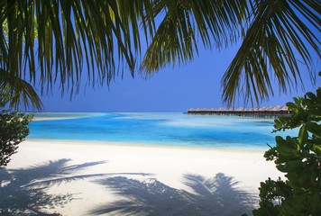 Beautiful view of the exotic resort, Maldives, palm trees, azure ocean, blue lagoon