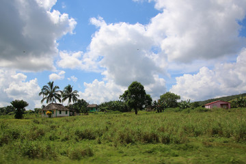 vinales