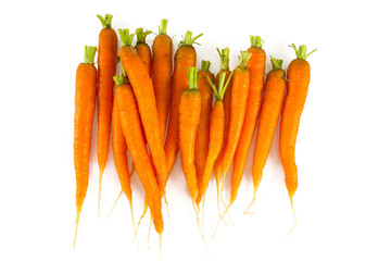 fresh carrots on white background