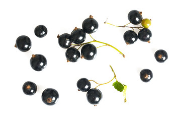 black currant isolated on white