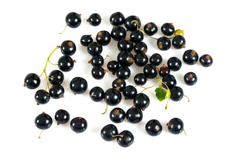 black currant isolated