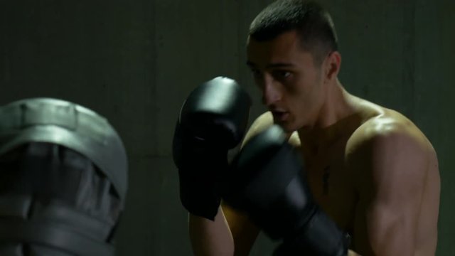 Male boxer punching gloves of his trainer