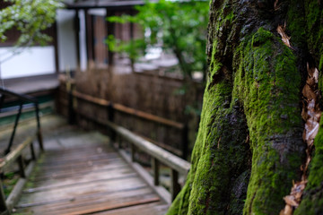 Kyoto