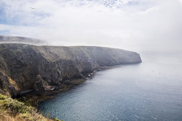 potato patch, santa cruz island