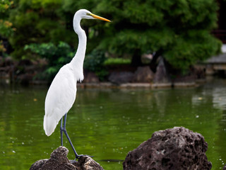 Okinawa