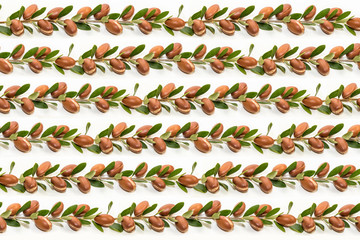 Argan branch background