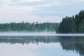Foggy calm lake and forest at summer night