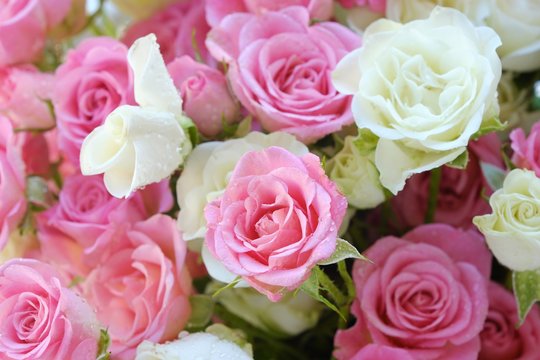 Beautiful bouquet of white and pink roses