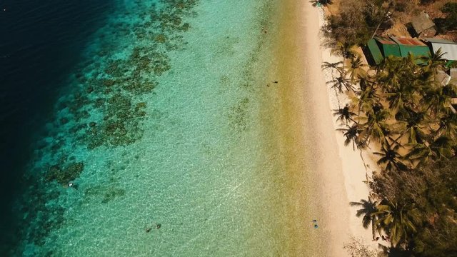 Aerial view of tropical beach on the island Banana, Philippines. Beautiful tropical island with sand beach, palm trees. Tropical landscape: beach with palm trees. Seascape: Ocean, sky, sea. 4K video