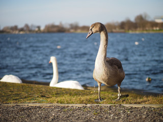 Wilhelmshaven