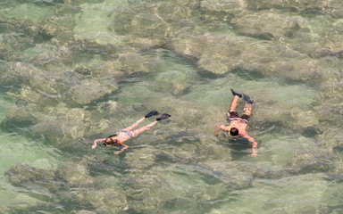People are snorkeling in ocean water filled with reefs