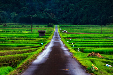 田園風景 田舎の景色