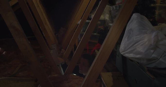 Adult male getting Christmas tree down from the attic in time for Christmas