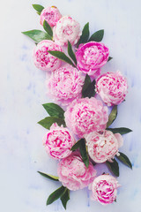 Minimal styled flat lay with peony flowers, petals and leaves on a pastel background
