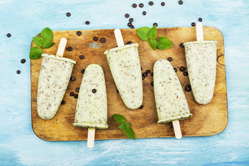 Homemade mint ice-cream with chocolate chips on a simple background. Top View.