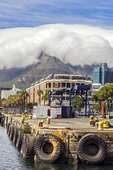 Harbor, Cape Town and Table mountain - obrazy, fototapety, plakaty