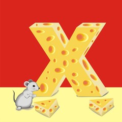 letter X of cheese and mouse