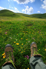 hiking legs rest on flowering grassland