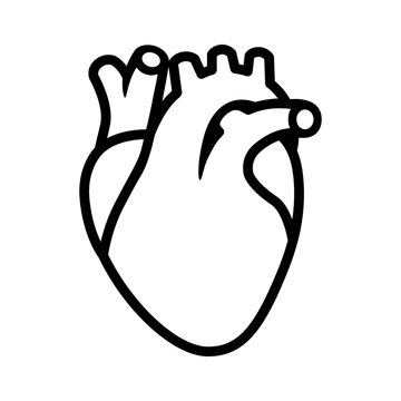 Human heart organ with aorta and arteries line art vector icon for medical health apps and websites