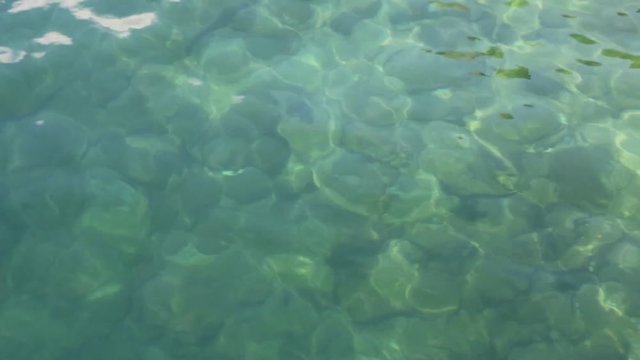 Clear and clean water of Lake Orta, Piedmont Italy