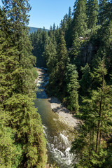 Capilano River on sunny day in Vancouver